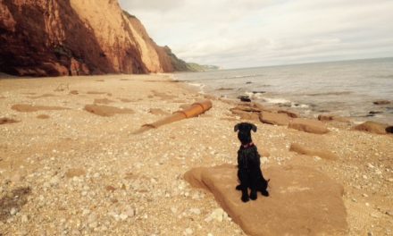 Tipps zur Einreise mit Hund nach Großbritannien