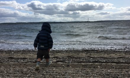 Reisebericht Dänemark – Camping mit Kindern und Hund bei unseren nordischen Nachbarn
